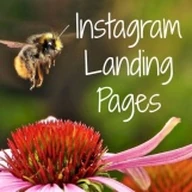 landingpageinstagrambot