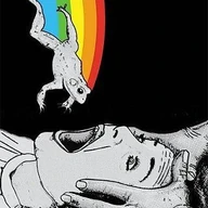 wheremind