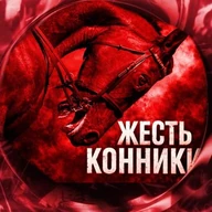 Жесть конники