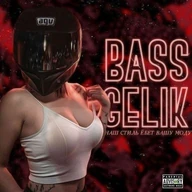 ✷ BASS GELIK ✷